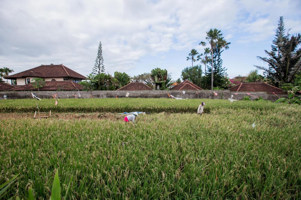 Villa Piece Of Peace Private 3Br With Large Pool And Garden Canggu  Bagian luar foto